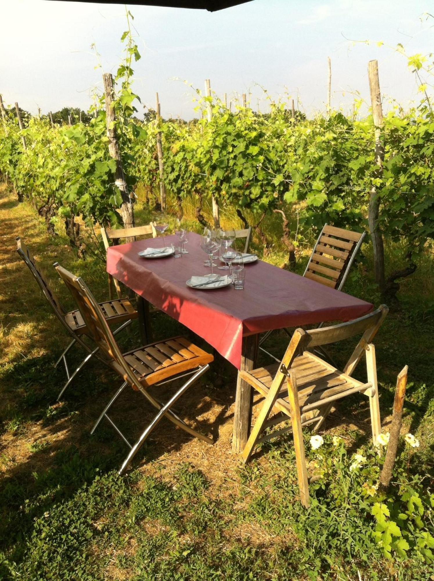 Vila Cascina La Maddalena Bed & Wine Rocca Grimalda Exteriér fotografie
