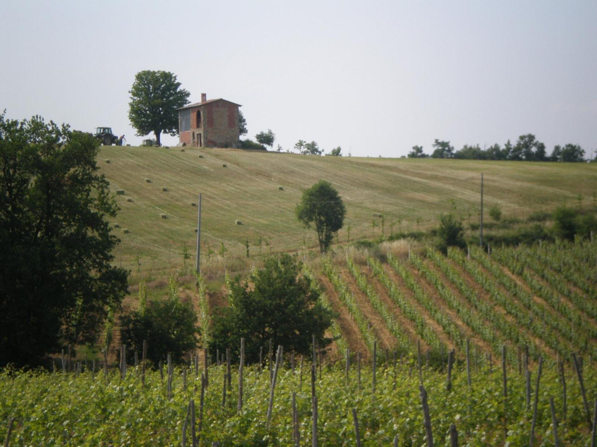 Vila Cascina La Maddalena Bed & Wine Rocca Grimalda Exteriér fotografie