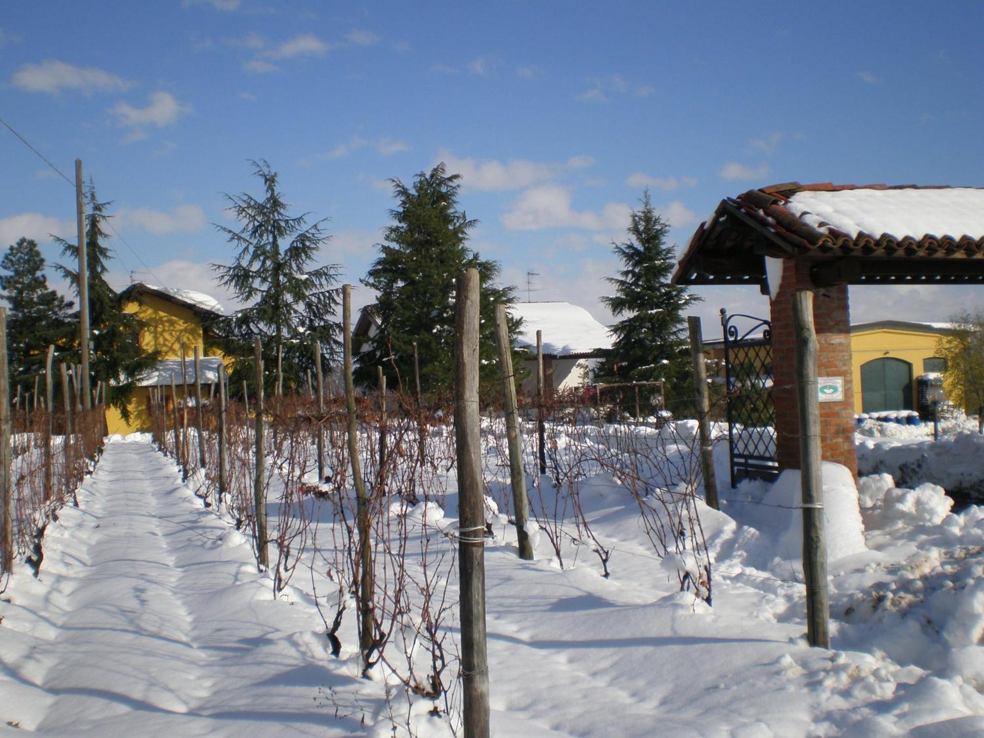 Vila Cascina La Maddalena Bed & Wine Rocca Grimalda Exteriér fotografie